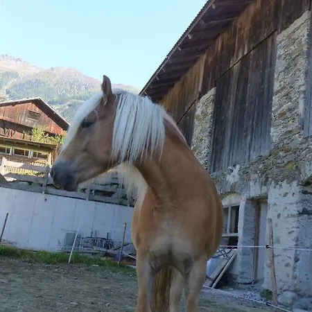 Farm stay Multererhof
