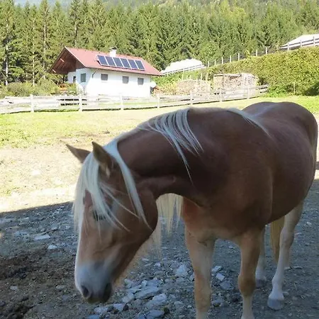 Multererhof * Nikolsdorf