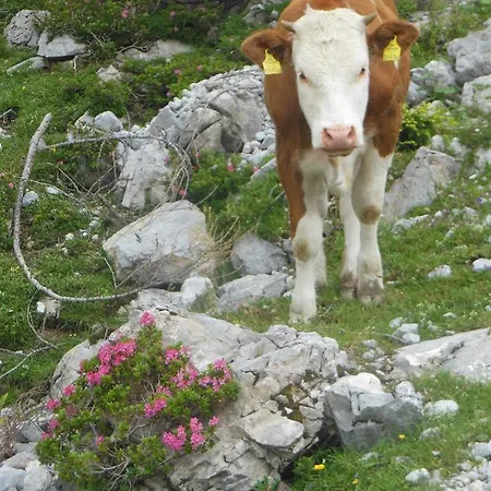 Multererhof Farm stay
