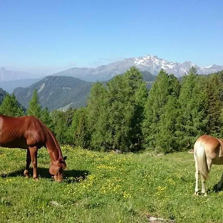 Farm stay Multererhof