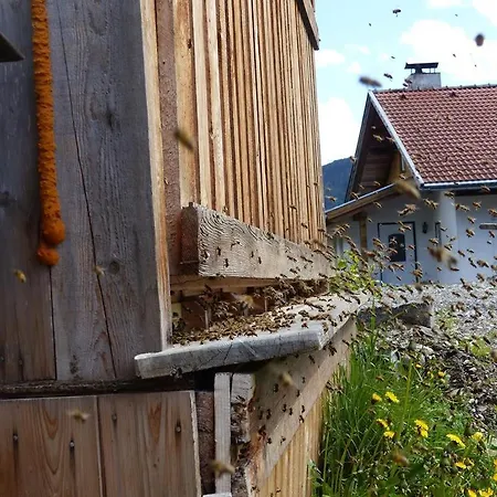 Farm stay Multererhof Nikolsdorf